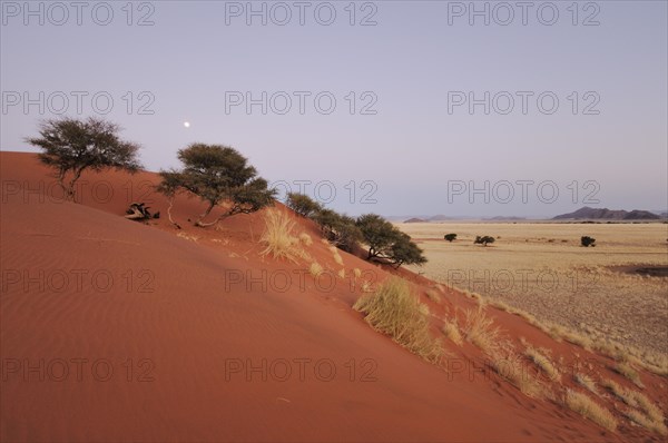 Elim Dune at dusk