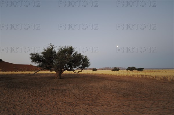 Elim Dune at dusk