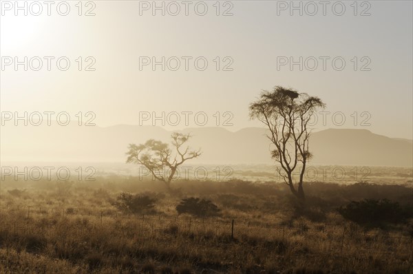 Early morning mist