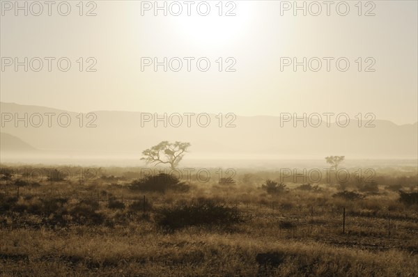 Early morning mist