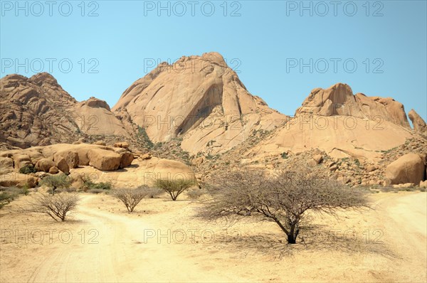 Savannah landscape with granite rocks and Spitzkoppe Mountain