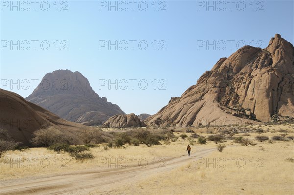 Savannah landscape with granite rocks and Spitzkoppe Mountain