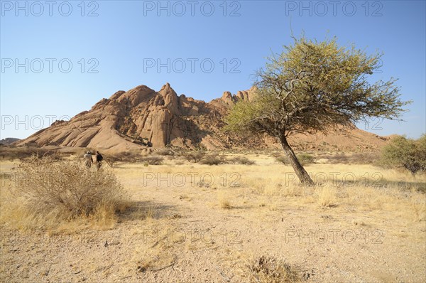 Savannah landscape with granite rocks of the Pontok Mountains