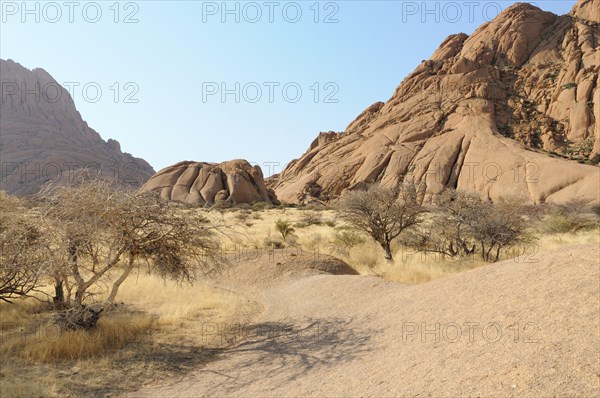 Savannah landscape with granite rocks