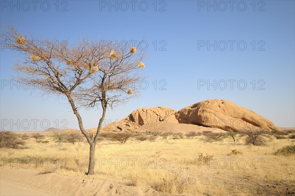 Savannah landscape with granite rocks of the Pontok Mountains