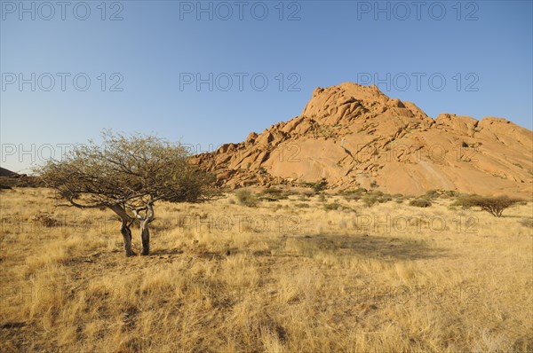 Savannah landscape with granite rocks of Pontok Mountains