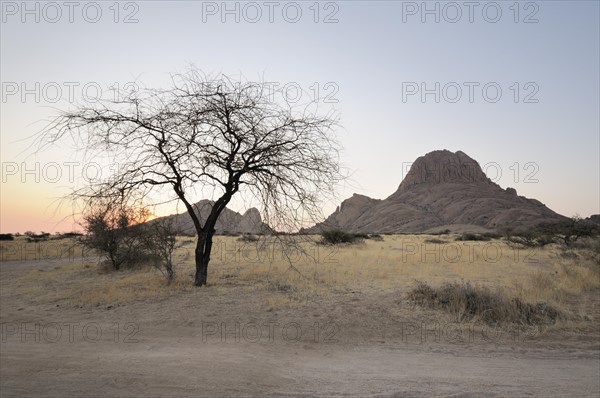 Savannah landscape with rock formations