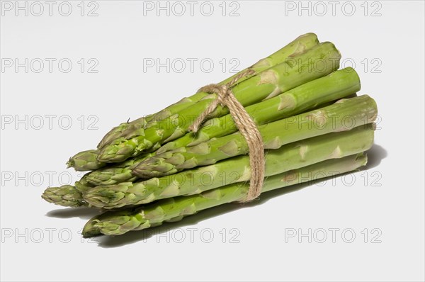 Asparagus (Asparagus officinalis)