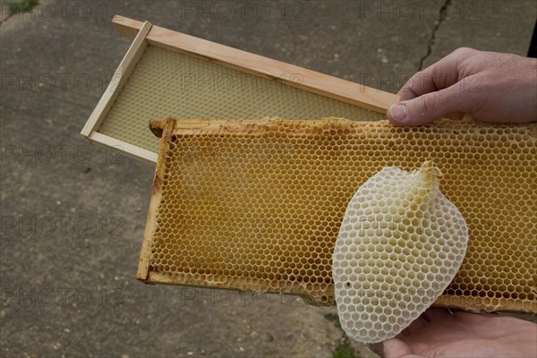 Honey bee hive wax frames