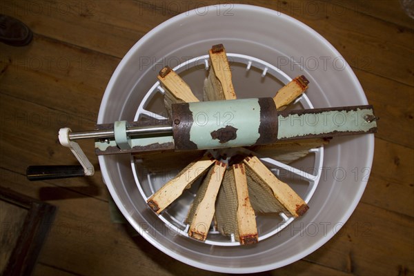 Honeycomb frames are placed in a spinning drum and then spun at high speed to separate the honey from the comb