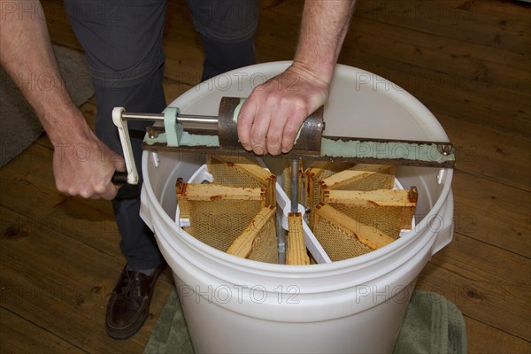 Honeycomb frames are placed into a spinning drum and then spun at high speed to separate the honey from the comb