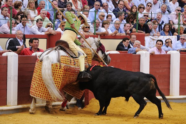 Bullfighting