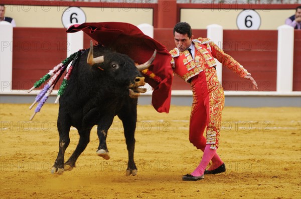 Bullfighting