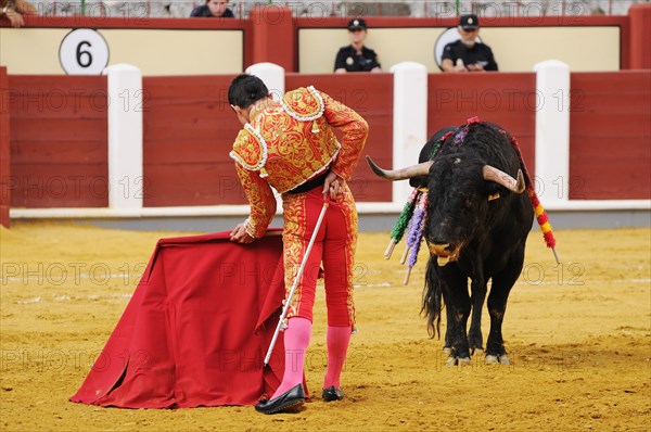 Bullfighting