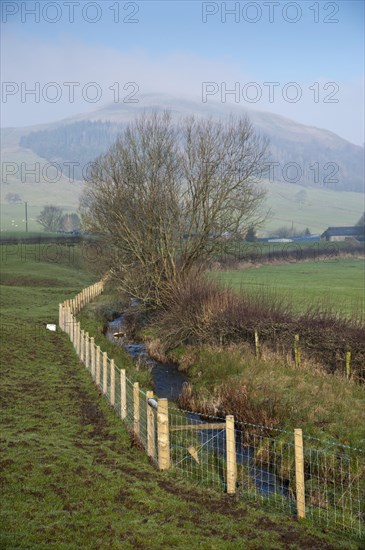 Stream flowing through pasture