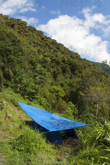 Tent with shade