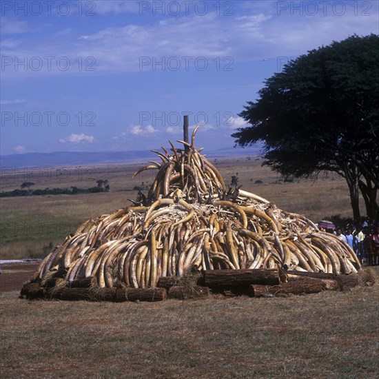 Destruction of animal products