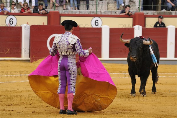 Bullfighting