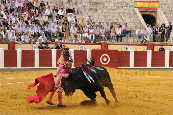 Bullfighting