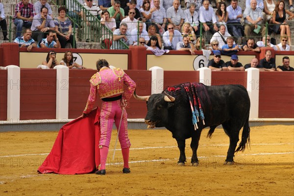 Bullfighting