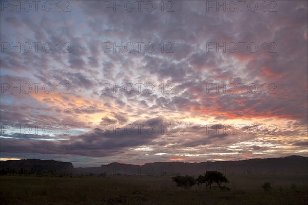 Sunset over grassland habitat