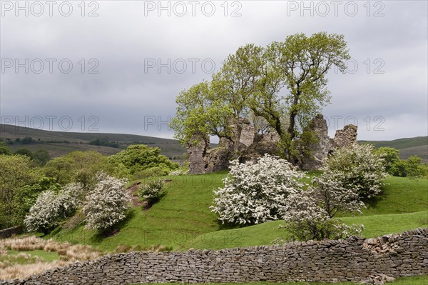 Ruins of 12th century Norman keep with 14th century garderobe turret