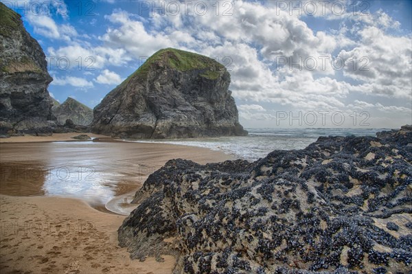 View of beach with slate outcrops