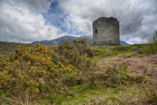 Ruined thirteenth century castle with keep