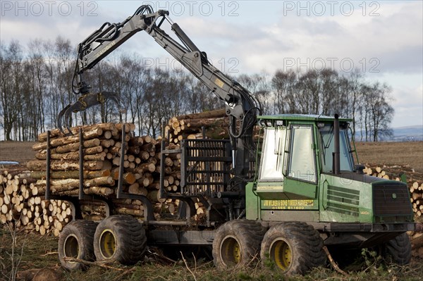 John Deere 1410D Forwarder stacking felled timber from pine plantation