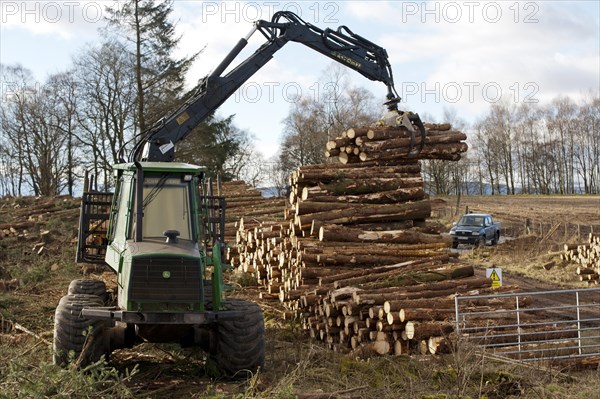John Deere 1410D Forwarder stacking felled timber from pine plantation