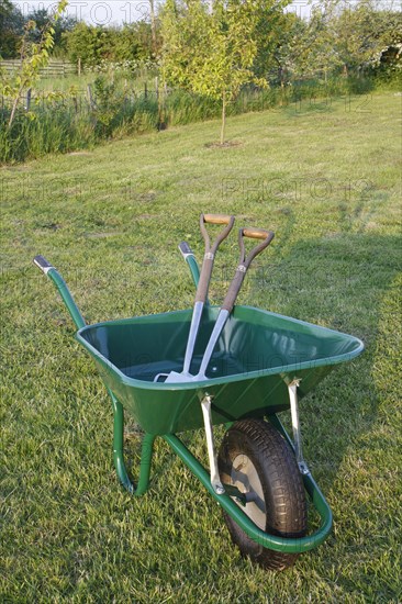 Wheelbarrow with spade and fork on garden lawn
