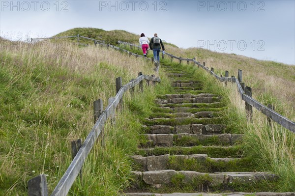 Walkers walking up steps