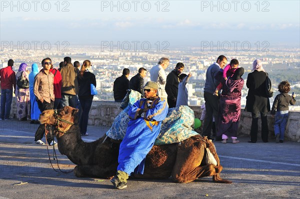 Camel driver waits for tourists at the ancient fortress of Agadir