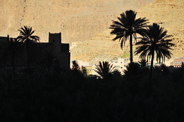Silhouette of Ksar and palm trees