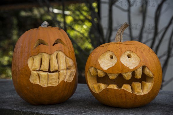 Halloween pumpkins