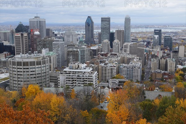 View from Mount Royal