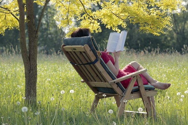 Young woman sitting and reading a book in a garden chair under a deciduous tree