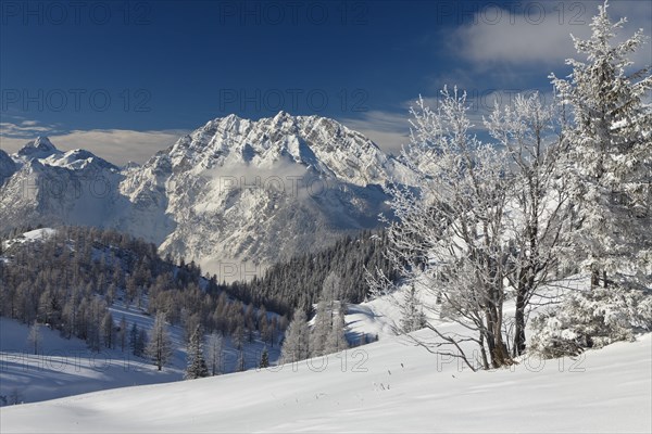 Watzmann Mountain and Hundstod Mountain