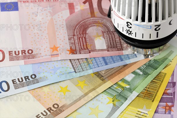 Radiator valve with euro banknotes