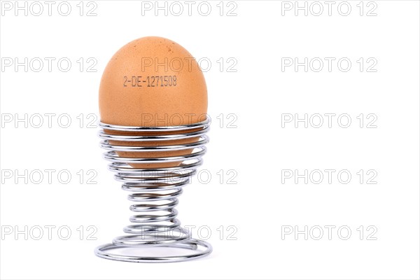 Brown egg with the producer code in egg cup