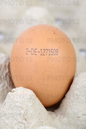 Brown egg with the producer code