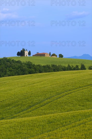 Cappella di Vitaleta. Vitaleta Chapel