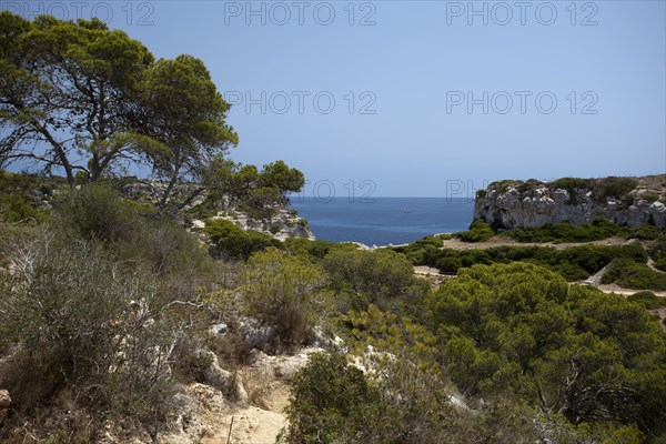 View towards the sea