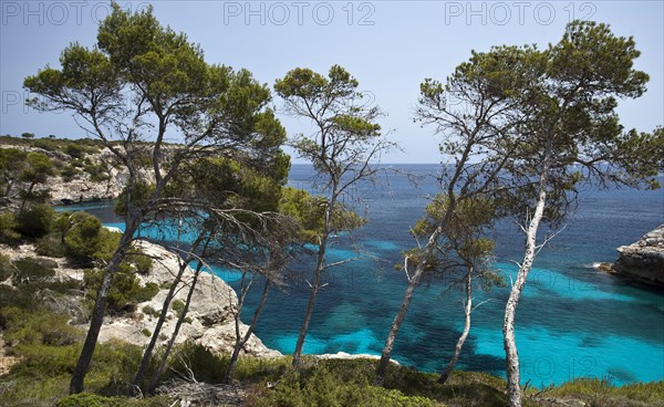 Rock-lined bay of Cala S'Almunia