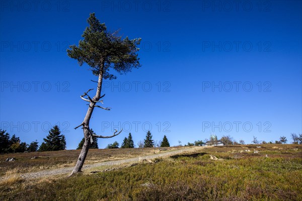 Kahler Asten mountain