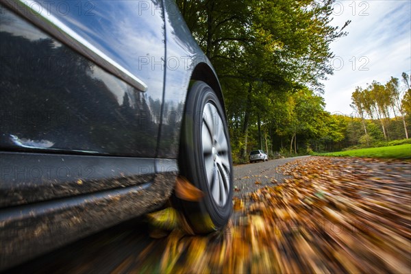 Car driving on a street covered with leaves