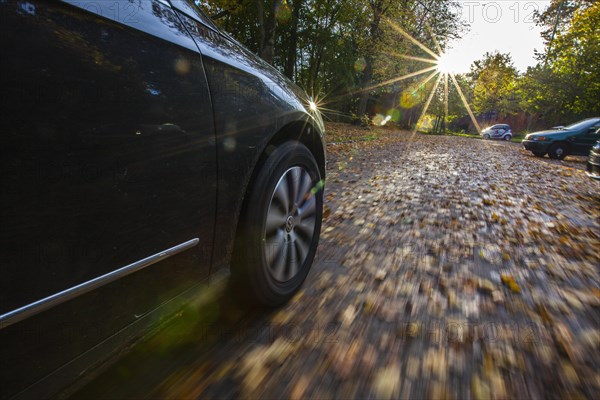 Car driving on a street covered with leaves