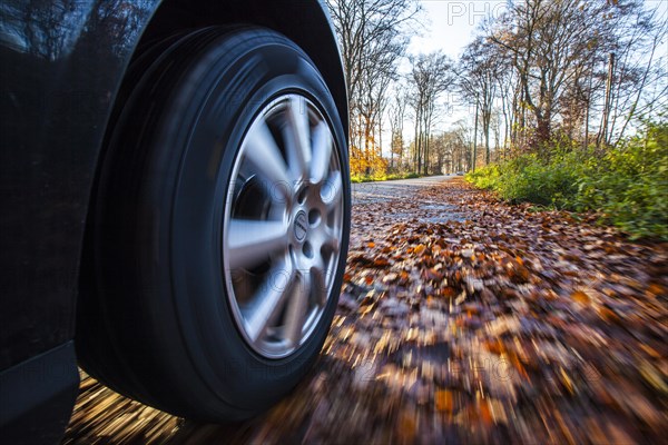 Car driving on a street covered with leaves