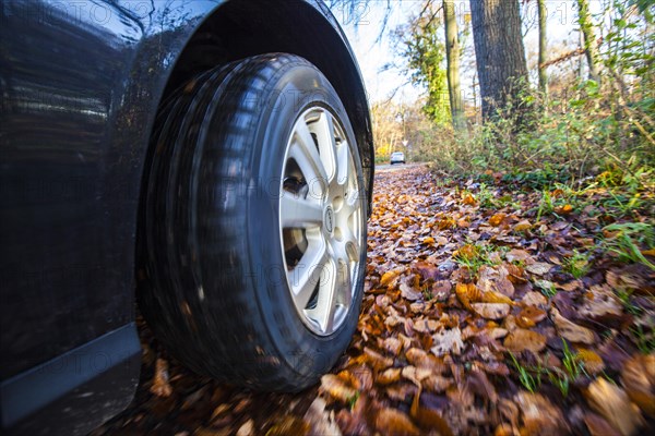 Car driving on a street covered with leaves