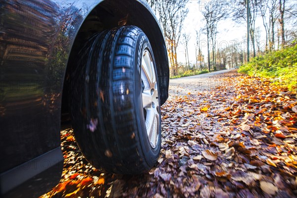 Car driving on a street covered with leaves